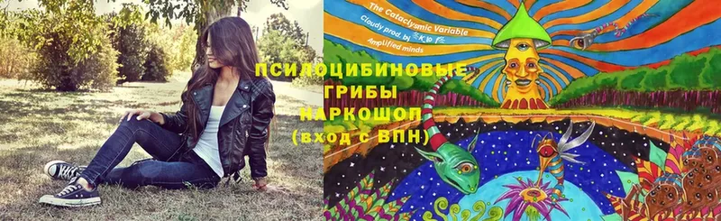 Псилоцибиновые грибы мухоморы  Кировск 